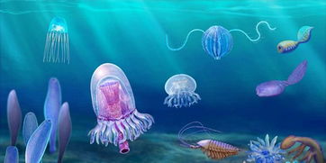 清江生物群打開(kāi)寒武紀(jì) 新寶藏