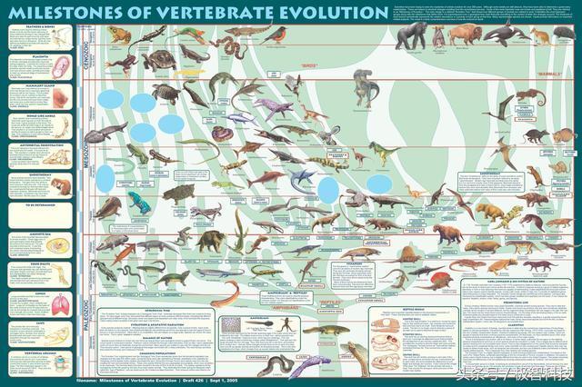 生物進(jìn)化理論為何可以用在飛行器的優(yōu)化設(shè)計(jì)中?讀完就懂