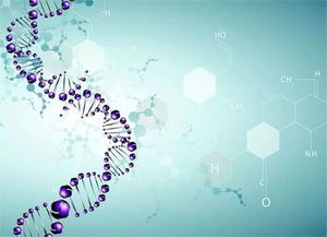 哥大生物碩博學姐全面系統(tǒng)介紹生科,生物技術,生統(tǒng)申請及發(fā)展路徑