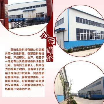 天竺葵純露 深層凈化肌膚，煥活水潤光彩——藍玫丫廠家直銷美容院裝專業解析