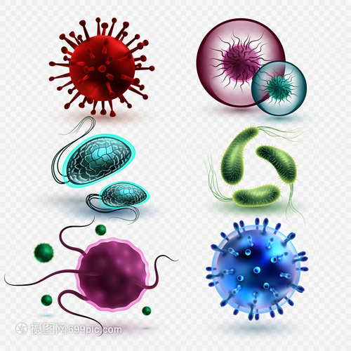 3D現(xiàn)實(shí)中的微生物與細(xì)菌 隔離、媒集與微觀世界的探索